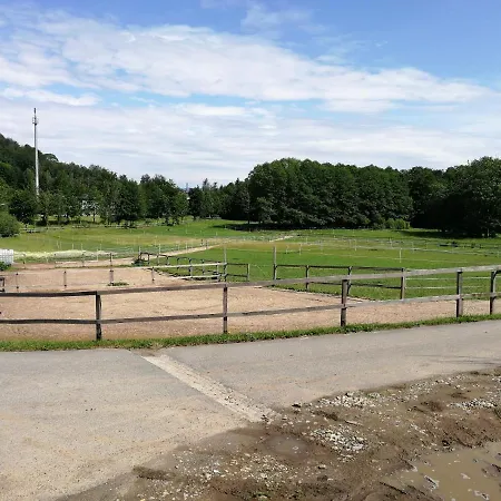 Pferdehof Am Burgsberg, Apartment *
