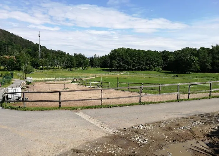 Pferdehof Am Burgsberg, شقة *